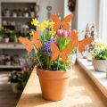 Butterfly wooden flower plug colored 9cm/29cm 12pcs | Floristik24.ie