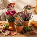 Flower Stick Fly Agaric Decoration Hedgehog Autumn Decoration 8cm 12 Pcs | Floristik24.ie