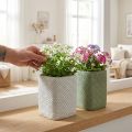 Planter ceramic white green relief mesh 12x12cm H17.5cm 2pcs | Floristik24.ie