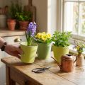 Paper cachepot, planter, pot for planting blue/green Ø13cm H12.5cm 4pcs | Floristik24.ie