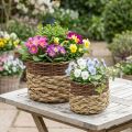 Wicker Basket Natural Wicker Plant Bowl Natural L30/22cm H20/17cm Set of 2 | Floristik24.ie