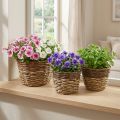 Natural basket for planting, basket decoration, plant bowls natural L21/19/16cm H21/19/16cm set of 3 | Floristik24.ie