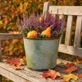Planter, metal pot with maple leaves, autumn decoration green Ø25.5cm H22cm | Floristik24.ie