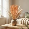 Decorative flax dried flowers apricot natural 80g boho decoration | Floristik24.ie