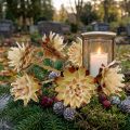 Short stemmed plumosum 3-6 1kg | Floristik24.ie