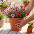 Pot “Irys” plastic terracotta Ø29cm H24cm 1 pc | Floristik24.ie