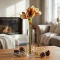 Artificial Amaryllis Flower in Pink and Yellow – 66 cm – Ideal gift idea and stylish decoration for interiors | Floristik24.ie