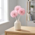 Giant dried dandelion decoration, elegant home accessory, 12cm, 4 pieces | Floristik24.ie
