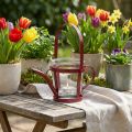 Lantern glass decoration watering can metal red Ø14cm H13cm | Floristik24.ie