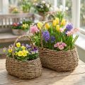 Plant basket with handle basket flower basket L23/35cm set of 2 | Floristik24.ie