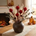 Plumosum 1 Red 25 pcs | Floristik24.ie