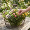 Wire basket oval with handle 27x16.5cm H13.5cm brown | Floristik24.ie