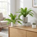 Nest fern artificial plants in green 5.5×22cm 2pcs | Floristik24.ie