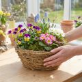 Planting bowl, round, vine design, natural, Ø23cm, H9.5cm | Floristik24.ie