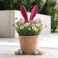 Bunny Decoration Ears Pink for Easter Flocked Stick H56cm | Floristik24.ie