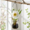 Poppy in a glass to hang white H22cm | Floristik24.ie