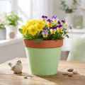 Felt Ribbon Pot Ribbon Light Green 15cm 5m | Floristik24.ie
