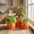 Tomato Plant Pot Set, Ceramic Decorative Flower Pots for Kitchen and Retro Decor, 14cm, Set of 3 | Floristik24.ie