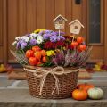 Decorative birdhouse, birch, 5cm, flower stakes, 4 pieces | Floristik24.ie