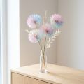 Dandelion decoration, dried flower, stabilized and dyed, delicate, durable, 12cm, 4 pieces | Floristik24.ie