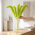 Amaranth Dried flowers Dyed light green for special home decor and unique accents 100cm 5 pieces | Floristik24.ie