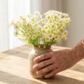 Artificial chamomile as a bouquet of flowers for natural and easy-care decoration, 28cm, 3 pieces | Floristik24.ie