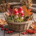 Fly agaric decoration mushrooms wooden mushrooms autumn decoration H6/8/10cm set of 3 | Floristik24.ie