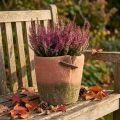 Concrete flower pot planter terracotta pot Ø18cm H17cm | Floristik24.ie