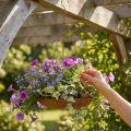 Decorative hanging bowl, garden decoration, rust look, Ø31cm, L62cm | Floristik24.ie