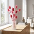 Wild teasel dried decoration, pink thistles, 53cm, 10 heads | Floristik24.ie