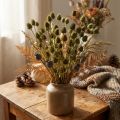 Strawberry thistle dried decoration, olive green, Ø1–2cm, L55cm, 100g | Floristik24.ie