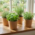 Planter, flowerpot, paper planter natural Ø15cm H13cm 4pcs | Floristik24.ie