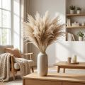 Dry grass Miscanthus 55-75cm feather grass natural 100 pcs | Floristik24.ie