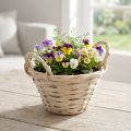 Decorative chip basket with handles for versatile design ideas | Floristik24.ie