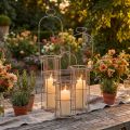 Lantern garden, metal lantern Ø8.5cm H23/18.5/14.5cm set of 3 | Floristik24.ie