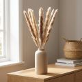 Pampas grass, decoratively dried for stylish arrangements and dried bouquets | Floristik24.ie