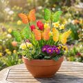 Wooden butterflies on stick 3-color assorted 8cm 24 pcs | Floristik24.ie