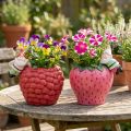 Ceramic pot planter edge hanger dwarf Ø14.5cm 2pcs | Floristik24.ie