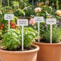 Plant signs Plant sign for changing 50cm 10pcs | Floristik24.ie