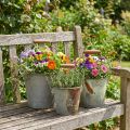 Decorative bucket metal rust vintage Ø15/17.5/22cm set of 3 | Floristik24.ie