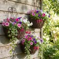 Hanging basket plants metal rust look H30/33.5/40cm set of 3 | Floristik24.ie