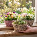 Plant basket seagrass basket water hyacinth planter oval 20.5cm 3 pcs | Floristik24.ie