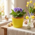 Pleated cuffs yellow 18.5cm 100 pcs. | Floristik24.ie