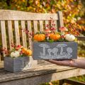 Wooden box set toadstool, autumn decorations, garden decorations, plant boxes L40 / 30cm, set of 2 | Floristik24.ie