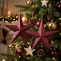 Decorative hanger glitter star burgundy 21cm 2pcs | Floristik24.ie