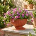 Bowl with base terracotta Ø26cm | Floristik24.ie