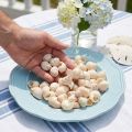 Mussel Umachi 500g | Floristik24.ie