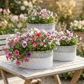 Planting bowl, metal container with lace pattern, oval decorative pot, white and silver, shabby chic, L41.5/35/29.5cm H19/16/14.5cm, set of 3 | Floristik24.ie