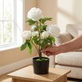 Artificial Paeonia, peony in a pot, decorative plant white flowers H57cm | Floristik24.ie