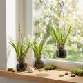 Lily of the Valley in a Glass Artificial Early Bloomers H22cm 3pcs | Floristik24.ie
